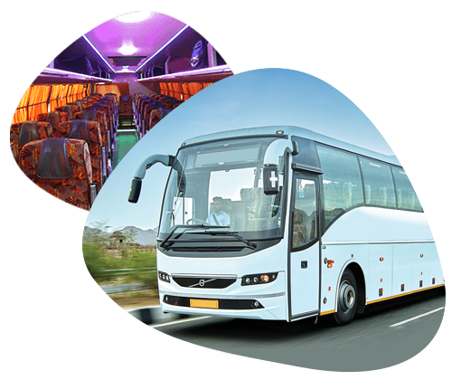 Sai Deepika Tours and Travels